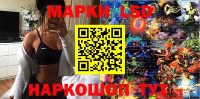 твердый Будённовск
