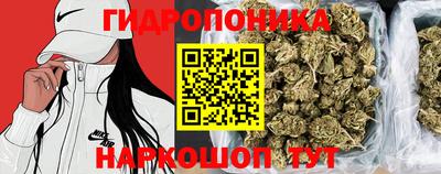 твердый Будённовск