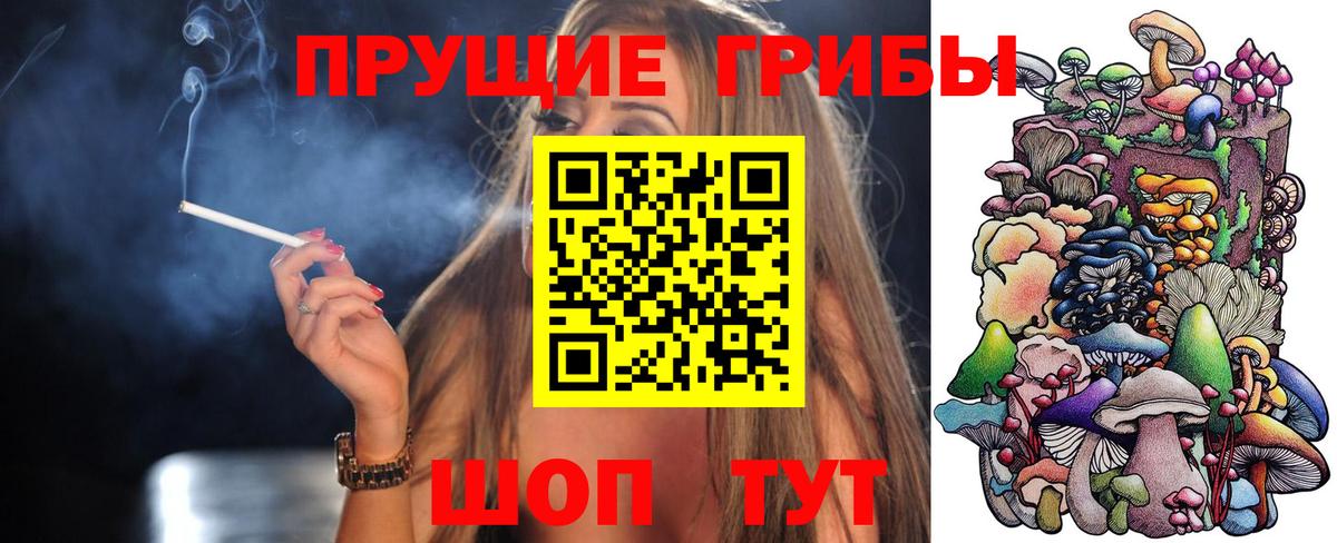 Киров  Галлюциногенные грибы Psilocybine cubensis  Вход с VPN 