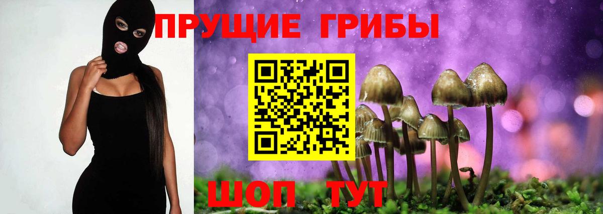 Псилоцибиновые грибы прущие грибы Киров